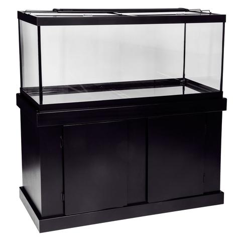 75 Gallon Aquarium