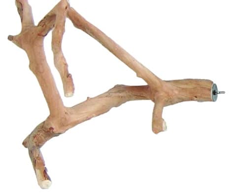 A&E Java Natural Wood Multi Brand Bird Perch