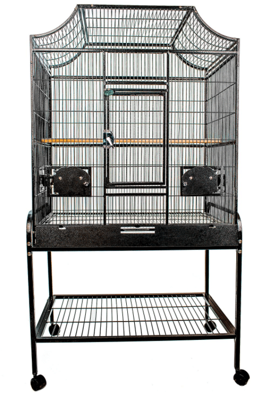 A&E Cage Elegant Flight Cage