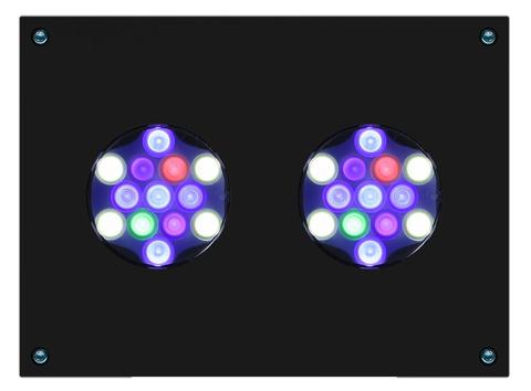 Hydra Series LED Lights