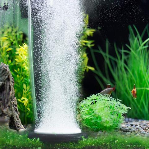 Airstone Bubblers Aquariums