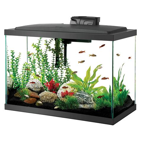 Aqueon 20 Gallon Aquarium Kit