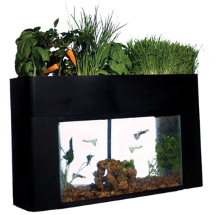 AquaSprouts Garden