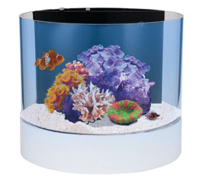 Innovative Marine Nuvo Concept Atoll Aquarium