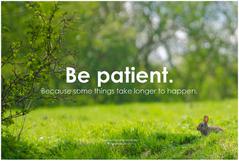 Be Patient - Aquariums