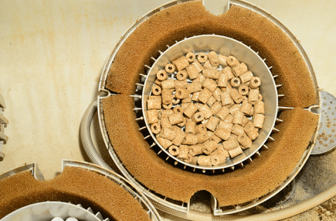 Beneficial Bacteria from Existing Filter