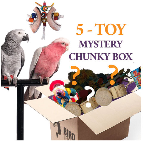 Bird Tricks Chunky Toy Box