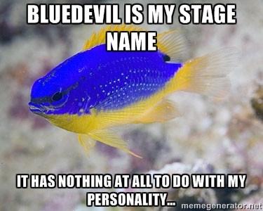 Damsel fish - Yes, Sane Damsels Do Exist!