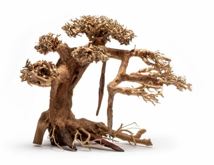 Bonsai Driftwood
