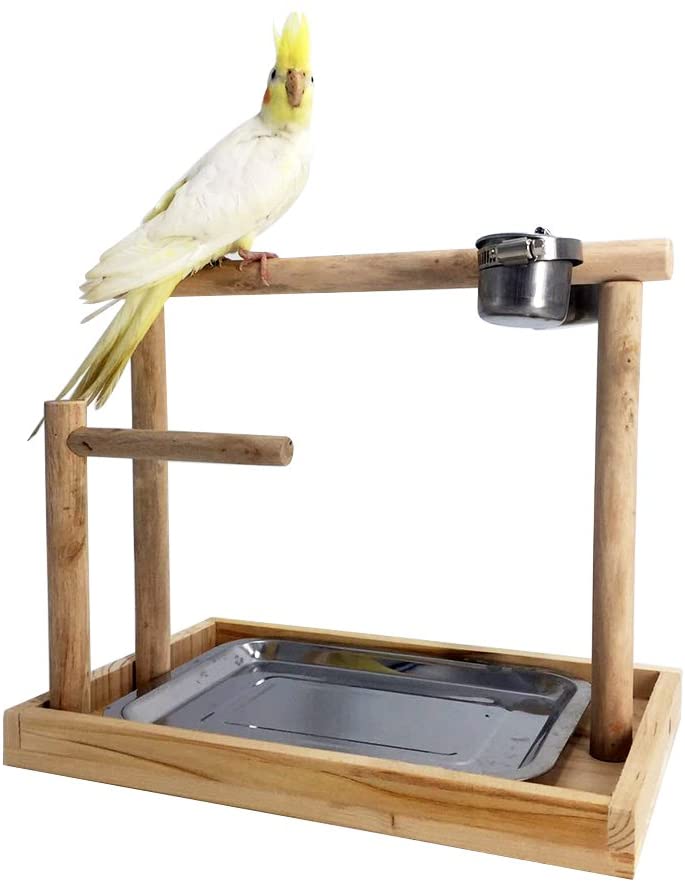 Borangs Parrot Playstand
