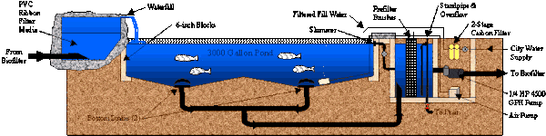 Bottom Drain Koi Pond