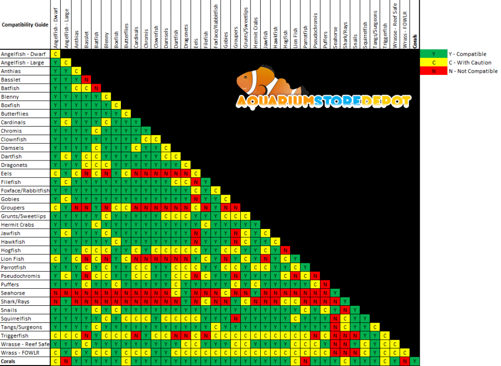 Saltwater Fish Compatibility Chart