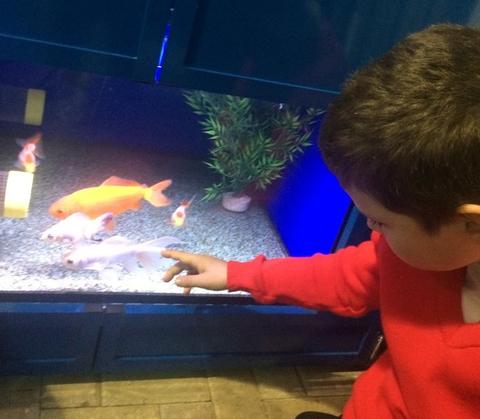 Child Fish Tank
