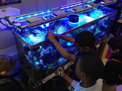 Children and Reef Tanks