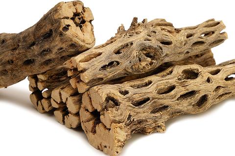 Cholla Driftwood