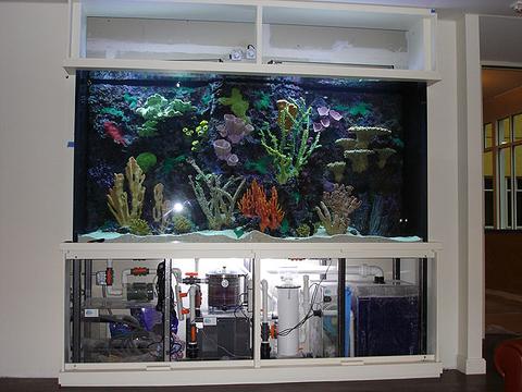 Custom Fish Tank Stand