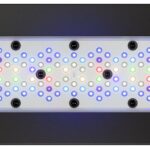 EcoTech Radion Gen XR 30