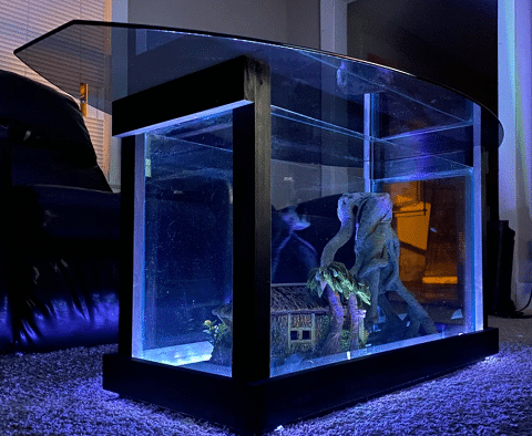 Aquatic Furnish Coffee Table