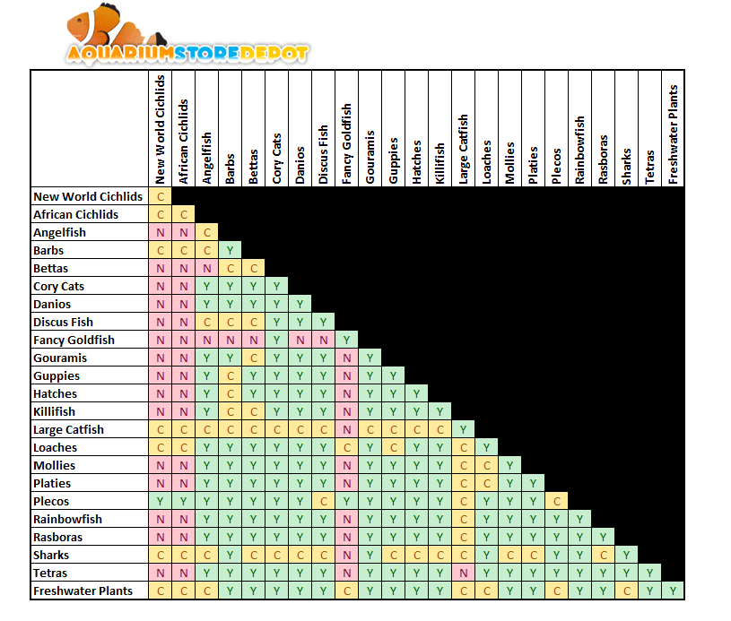 Freshwater Fish Compatibility Chart