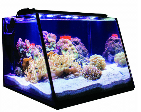 Lifegard Full View Aquarium