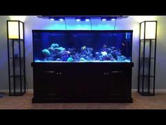 Intense LED Reef lighting