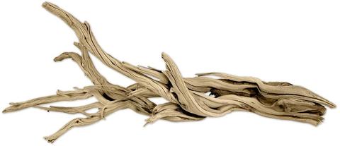 Koyal Wholesale California Driftwood