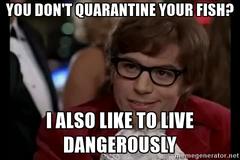 Quarantining Your Fish