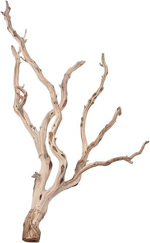 Manzanita Driftwood