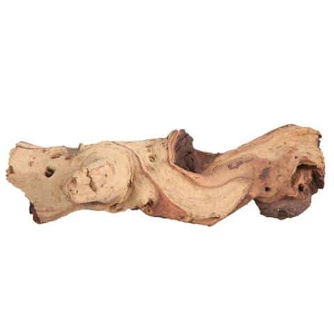 Mopani Driftwood