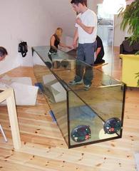 Moving A Fish Tank