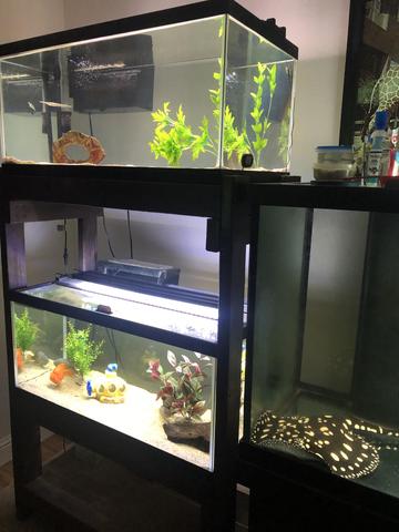 Multiple Tank Syndrome