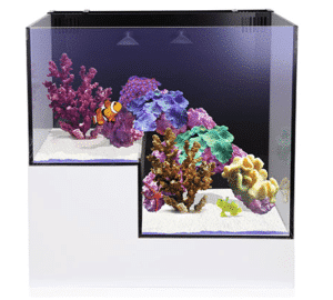 Innovative Marine Nuvo Concept Panorama Aquarium