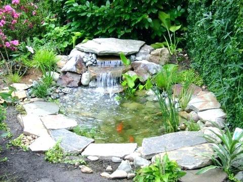 Planted Water Garden