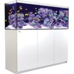 Red Sea Reefer 525 Aquarium