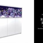 Red Sea Reefer Review