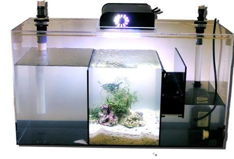 Refugium Sump
