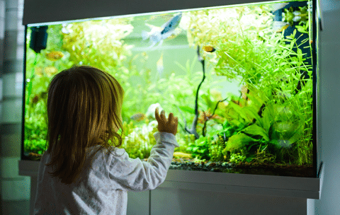 Rimmed Tank With Kids