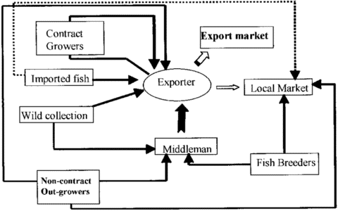 The Ornamental Fish Trade Supply Chain