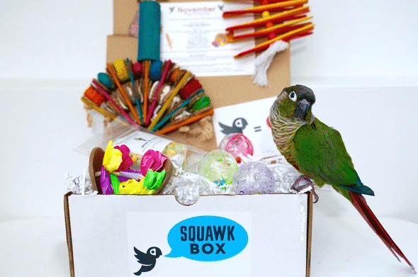 SquawkBox