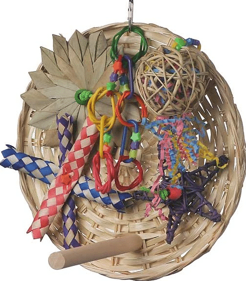 Super Bird Creations Busy Birdie Play Perch