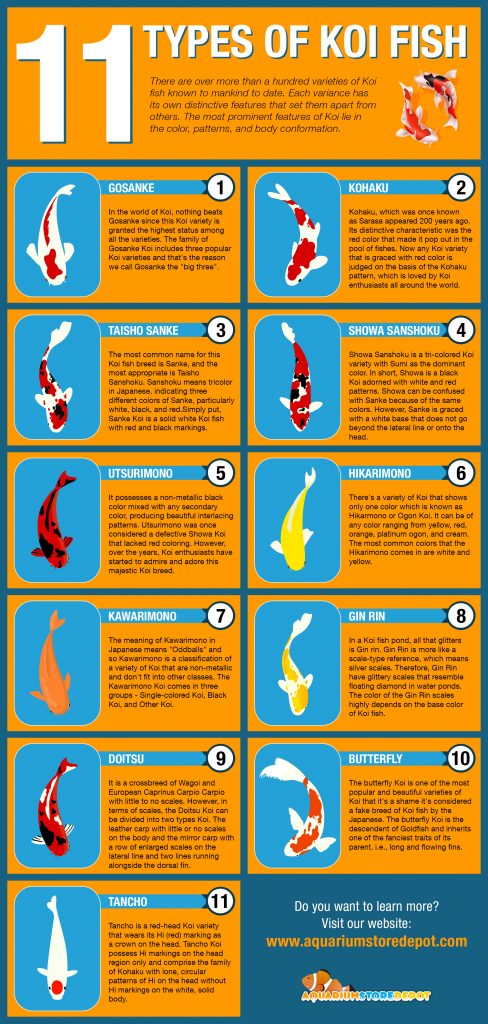 Types Of Koi