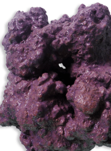 Walt Smith International Reef Reef Rock 2.1