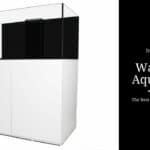 Waterbox Aquarium Review