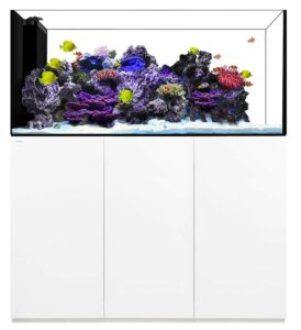 Waterbox Peninsula 6025