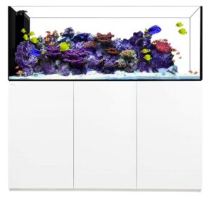 Waterbox Peninsula 7225