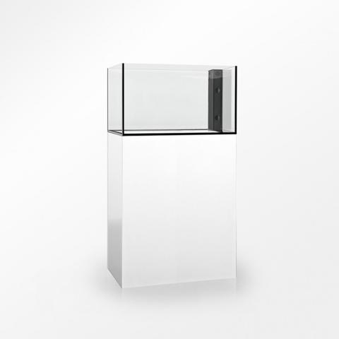 Reef Ready Aquarium