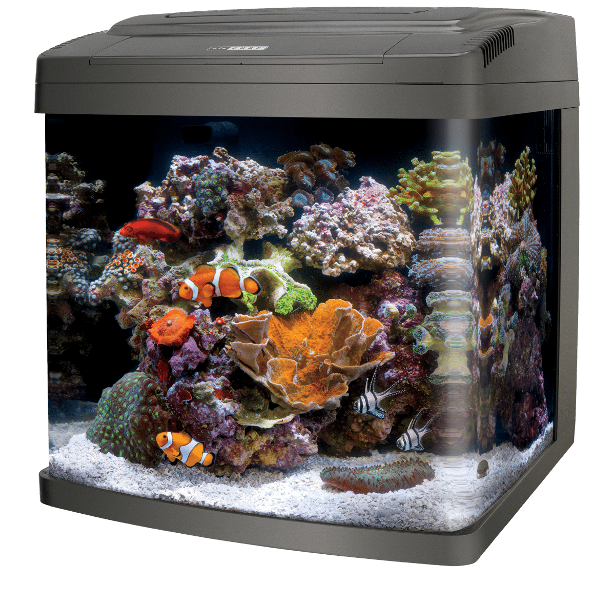Coralife Biocube