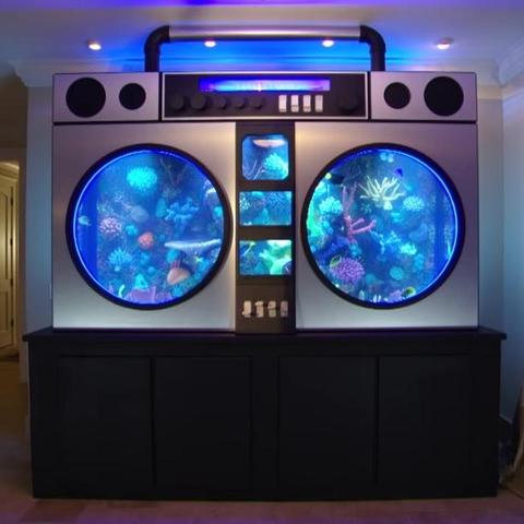 Jimmy Butler Aquarium